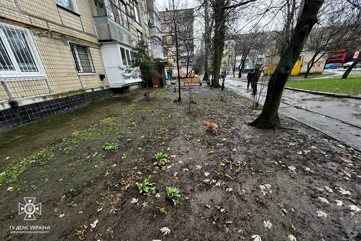 Три цуценя впали до відкритого люку поблизу багатоквартирного будинку