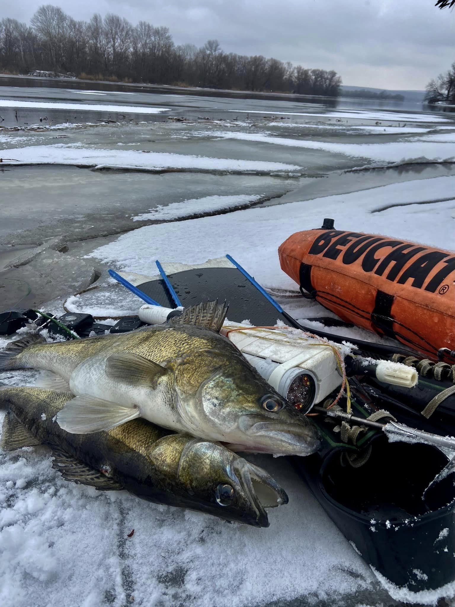На Дніпропетровщині рибалка впіймав під водою величезного судака