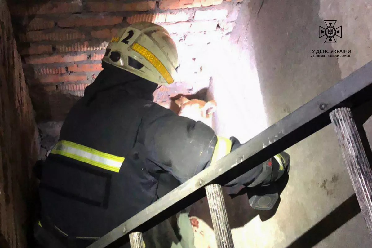 На Дніпропетровщині рятувальники дістали двох песиків, які впали у підвал